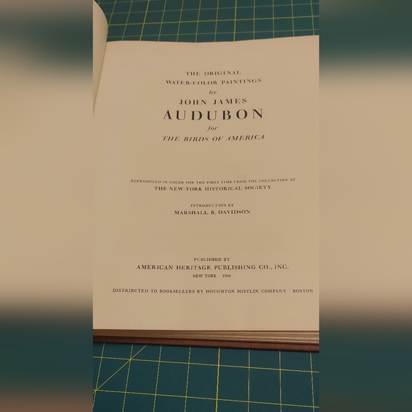 Saw-Whet Owl, plate 150. John James Audubon - Picture 3 of 4